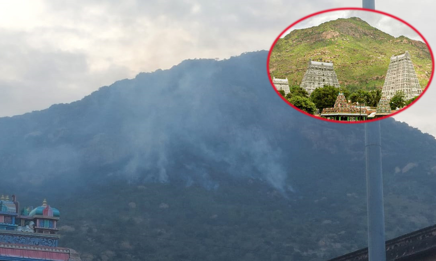 திருவண்ணாமலை கோவில் மகாதீப மலையில் பயங்கர தீ- மூலிகை செடிகள் மரங்கள் எரிந்தன