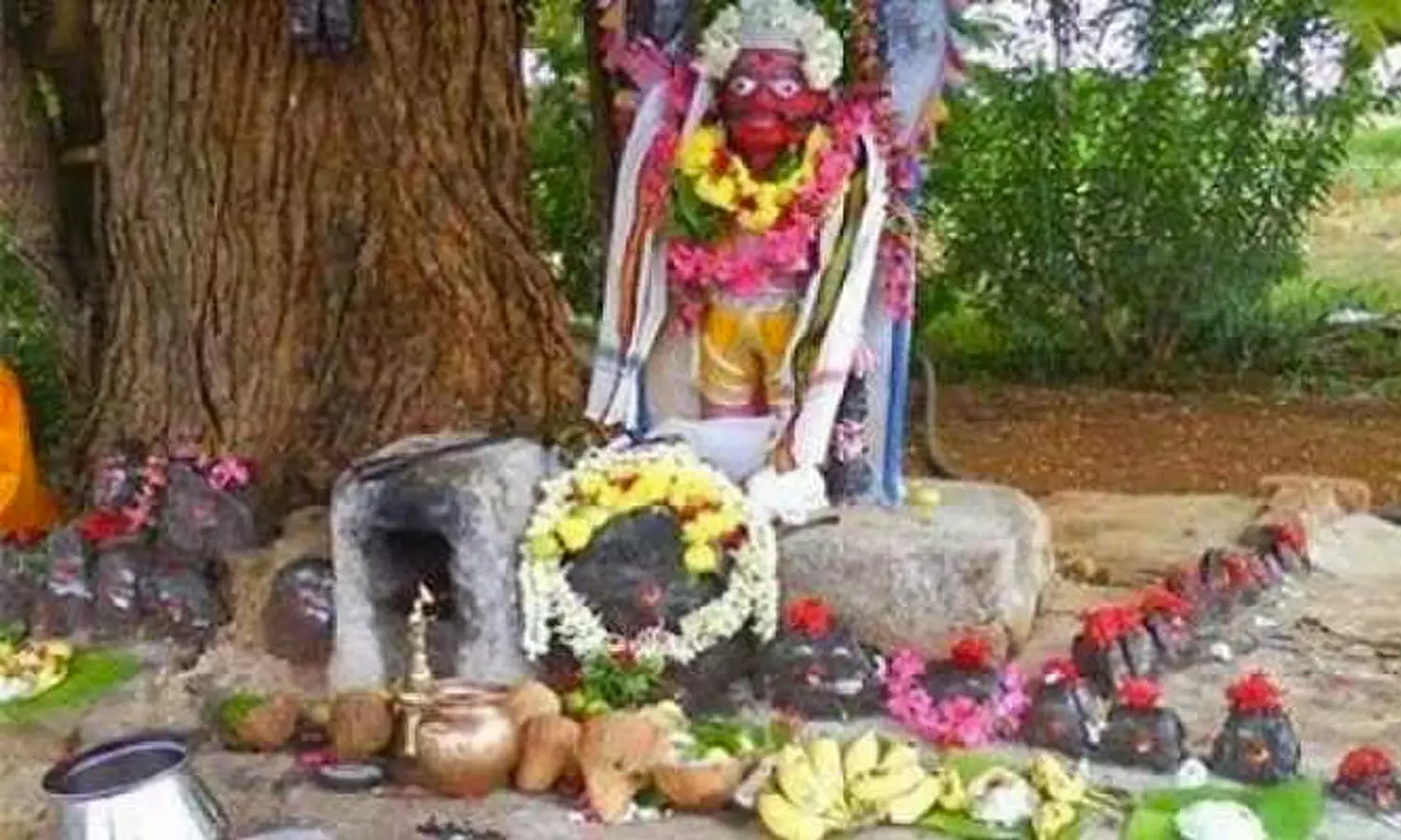 குலத்தை காப்பதால் தான் குலக் கடவுள் குலத்தை காப்பதால் தான் குலக் கடவுள்