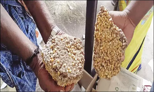 ராணிப்பேட்டை அருகே ரேஷன் கடையில் மக்கிப்போன பருப்பு வினியோகம்