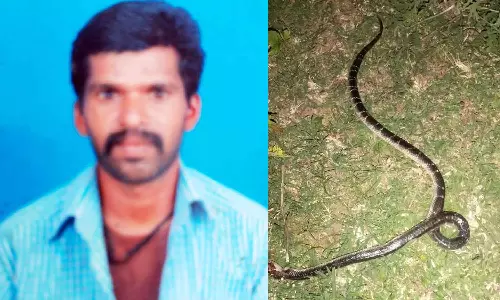 மலைகிராமத்தில் சாலை வசதி இல்லாததால் பாம்பு கடித்து தொழிலாளி மரணம்