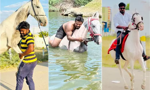 சட்டக்கல்லூரிக்கு குதிரையில் சென்று படித்து வரும் மாணவர்- மன அழுத்தம் குறைவதாக பெருமிதம்