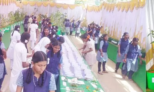 தருமபுரி அரசு மகளிர் பள்ளியில் கண்காட்சி: பாரம்பரிய மரக்கன்றுகள் வைத்து மாணவிகள் அசத்தல்