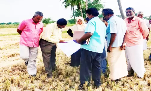 மயான பாதை அமைக்க சப்-கலெக்டர் ஆய்வு
