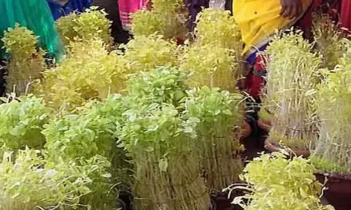 முளைப்பாரி எதற்காக தெரியுமா?