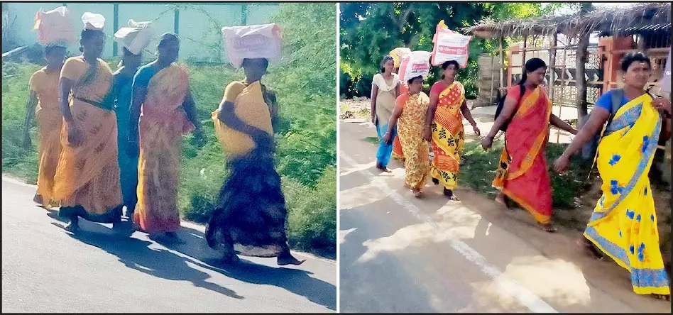 பாகம்பிரியாள் கோவிலுக்கு பாதயாத்திரையாக செல்லும் பக்தர்கள் பாகம்பிரியாள் கோவிலுக்கு பாதயாத்திரையாக செல்லும் பக்தர்கள்