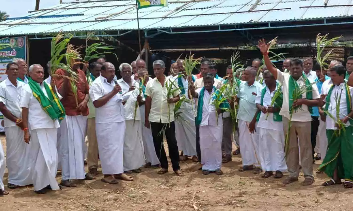 மக்காச்சோள கதிர்களுடன் விவசாயிகள் போராட்டம் மக்காச்சோள கதிர்களுடன் விவசாயிகள் போராட்டம்