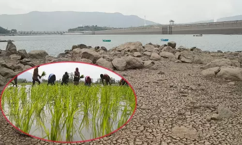 மேட்டூர் அணை நீர்மட்டம் 70.97 அடியாக குறைந்தது- 3 லட்சம் ஏக்கர் குறுவை சாகுபடி முழுமை பெறுமா?