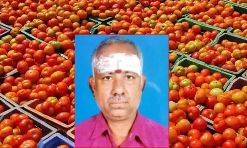 ஆற்காடு பஞ்சாங்கத்தில் தக்காளி விலை உயரும் என முன்கூட்டியே கணிப்பு