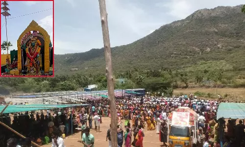 திண்டுக்கல் அருகே கோவில் திருவிழாவில் 355 ஆடுகள் பலியிட்டு நேர்த்திக்கடன்