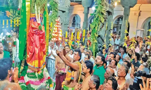 சங்கரநாராயண சுவாமி கோவிலில் ஆடித்தபசு திருவிழா கோலாகலத்துடன் தொடங்கியது