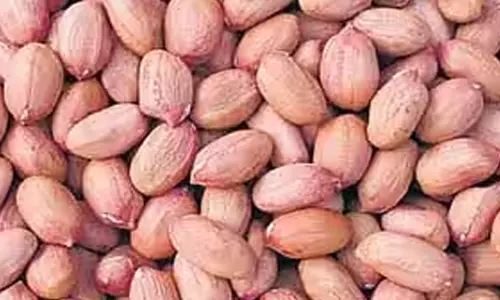 நிலக்கடலை காய் ரூ.38 ஆயிரத்து 786-க்கு விற்பனை