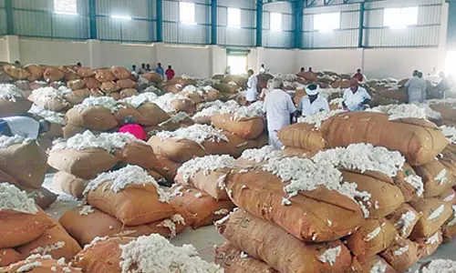 1029 பருத்தி மூட்டைகள் ரூ.22 லட்சத்துக்கு ஏலம்