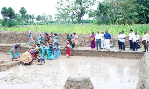 பண்ணை குட்டை அமைக்கும் பணியை கலெக்டர் ஆய்வு