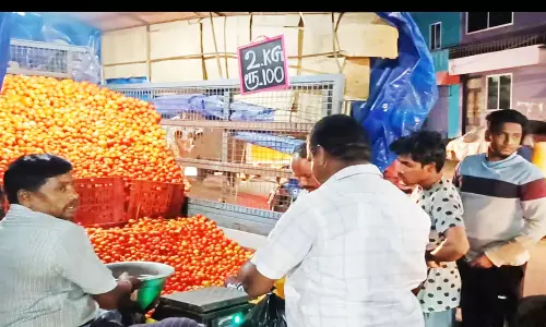 மீண்டும் வந்துடுச்சி தக்காளி வேன்