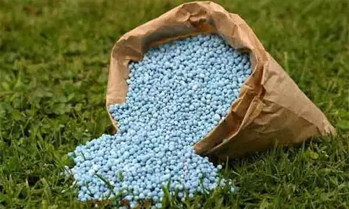 விவசாயிகளுக்கு மானிய விலையில் உரம்