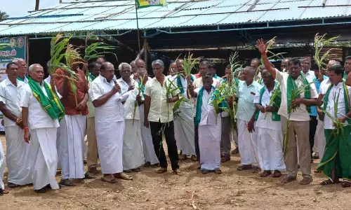 மக்காச்சோள கதிர்களுடன் விவசாயிகள் போராட்டம்