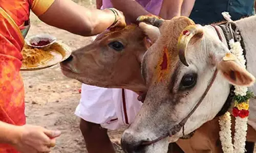 பெரியாண்டிபாளையம்  மாரியம்மன் கோவிலில் கோ பூஜை வழிபாடு