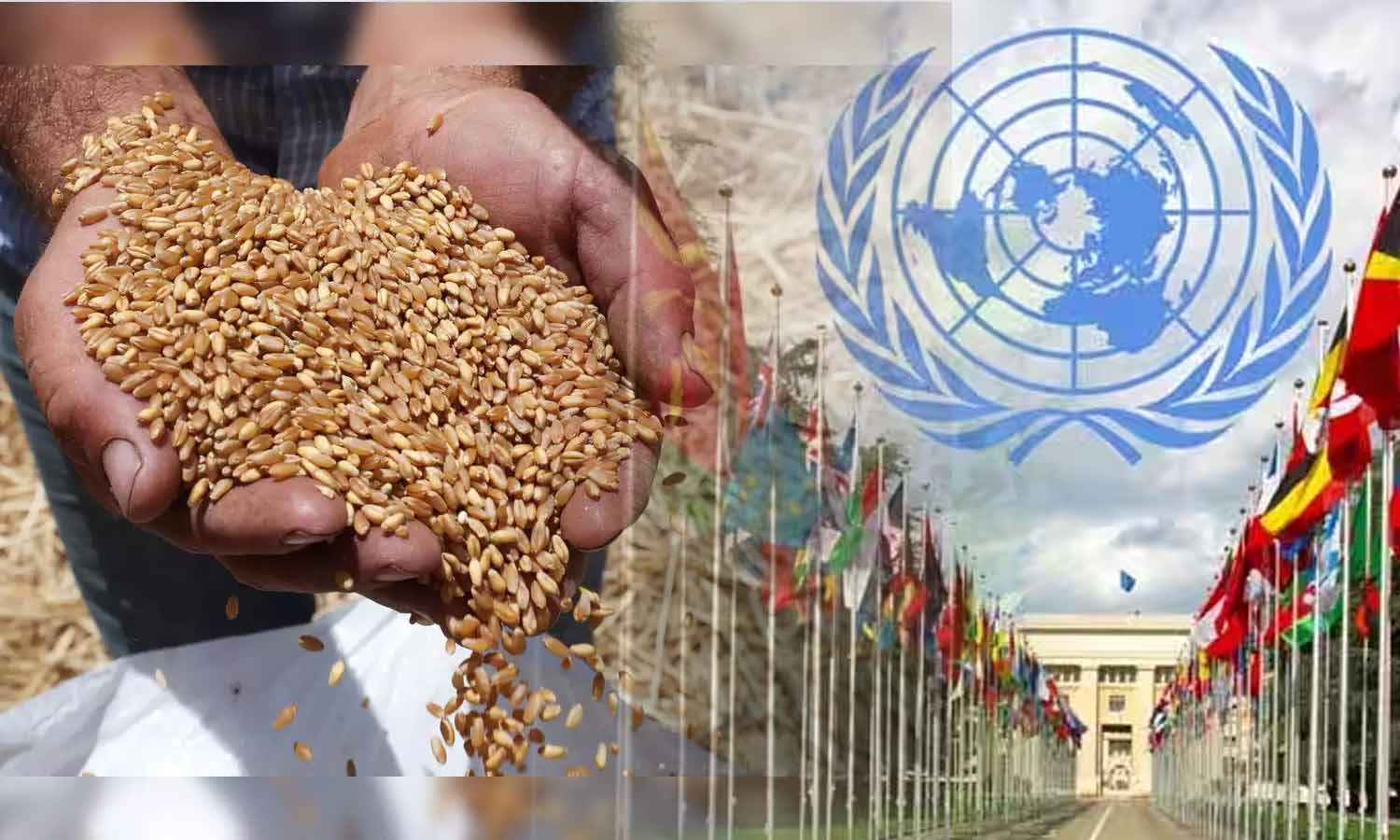 ஒப்பந்தத்தில் இருந்து ரஷியா விலகல்: தானிய ஏற்றுமதி தடையால் பட்டினி சாவுகள் ஏற்படும்- ஐ.நா.எச்சரிக்கை