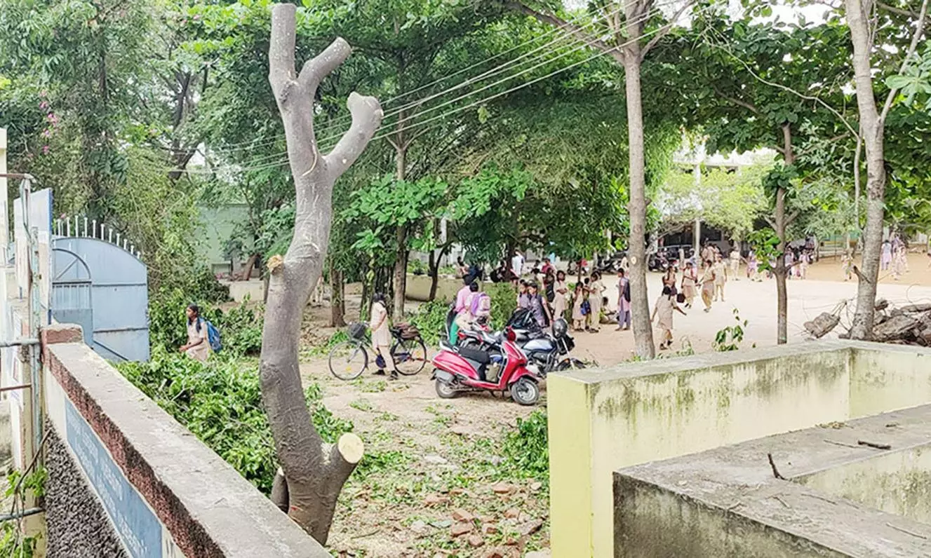 இலக்கியம்பட்டியில் உள்ள அரசு பள்ளியில் 20 டன் விலை உயர்ந்த மரங்கள் வெட்டி கடத்தல் இலக்கியம்பட்டியில் உள்ள அரசு பள்ளியில் 20 டன் விலை உயர்ந்த மரங்கள் வெட்டி கடத்தல்