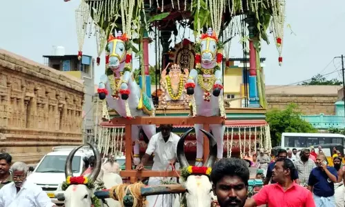 திருவானைக்கோவில் அகிலாண்டேஸ்வரி கோரத வீதி உலா