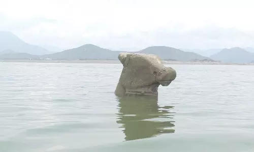 மேட்டூர் அணை நீர்மட்டம் 70 அடிக்கு கீழ் குறைந்தது- வெளியே தெரியும் நந்தி சிலை