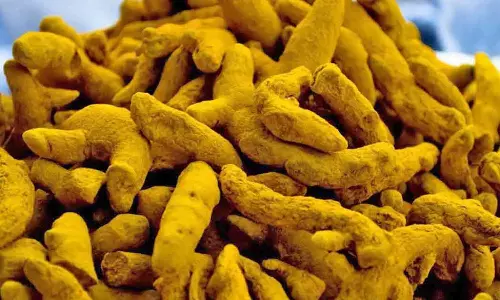 தொடர்ந்து உயரும் மஞ்சள் விலை- ஈரோட்டில் ஒரு வாரத்தில் குவிண்டாலுக்கு ரூ.4,399 வரை உயர்ந்தது