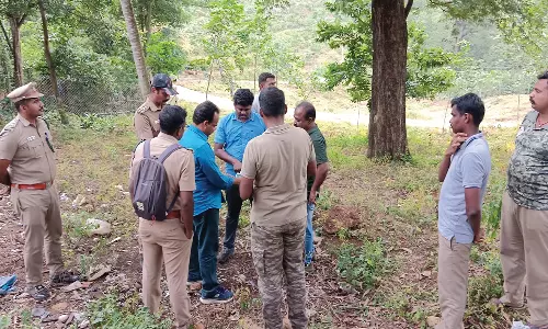 மோப்பநாய் உதவியுடன் பேச்சிப்பாறை மூங்கில் காட்டில் புலியை பிடிக்க இன்று தேடுதல் வேட்டை