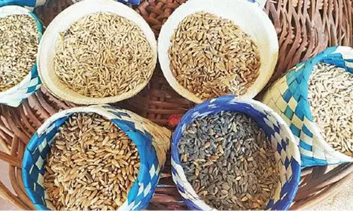 ஈரோட்டில் நடப்பு பருவத்திற்கான இடுபொருட்கள் தேவையான அளவு இருப்பு உள்ளது-வேளாண் அதிகாரிகள் தகவல்