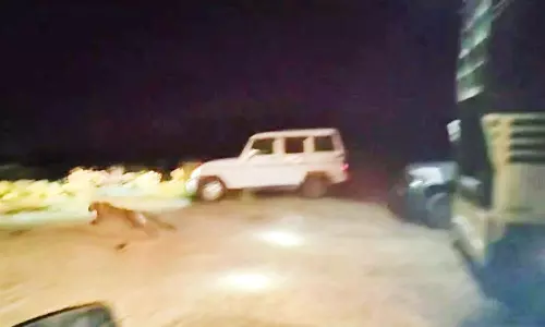 100 அடி கிணற்றில் தவறி விழுந்த சிறுத்தை வனப்பகுதியில் விடப்பட்டது