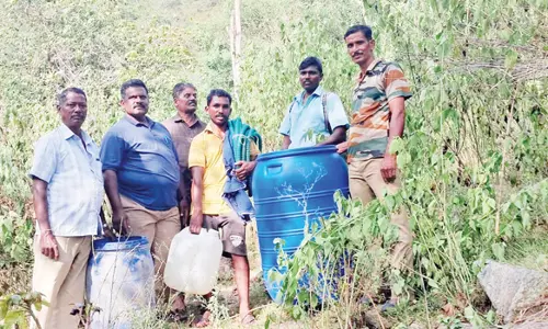 வனப்பகுதியில் சாராயம் காய்ச்சியவர் கைது