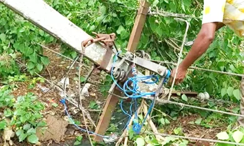 கோத்தகிரியில் மின் கம்பத்தில் விழுந்த மரம்