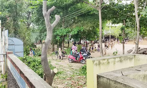 இலக்கியம்பட்டியில் உள்ள அரசு பள்ளியில் 20 டன் விலை உயர்ந்த மரங்கள் வெட்டி கடத்தல்