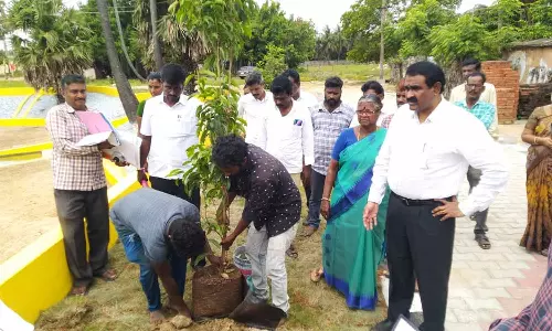 பட்டிபுலம் ஊராட்சியில் ஊரக வளர்ச்சி பணிகளை ஆய்வு செய்த நகராட்சி நிர்வாக இயக்குநர்