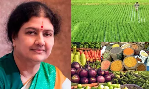 அத்தியாவசிய பொருள்களின் விலைவாசி உயர்வை திமுக அரசு கட்டுப்படுத்த தவறிவிட்டது- சசிகலா