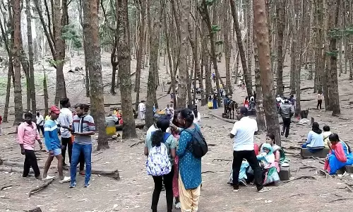 சாரல் மழையில் நனைந்து உற்சாகம் கொடைக்கானலில் சுற்றுலா பயணிகள் வருகை அதிகரிப்பு