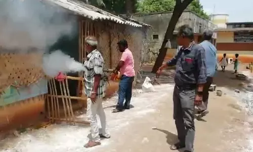 டெங்கு தடுப்பு பணிகள் தீவிரம்