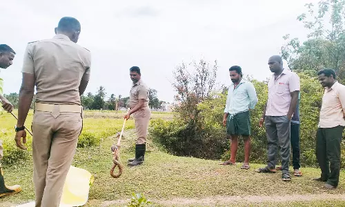 கிணற்றில் இருந்து 6 அடி நீள நாகபாம்பு மீட்பு