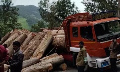 கோத்தகிரி அருகே மரம் ஏற்றி வந்த லாரி விபத்தில் சிக்கியது
