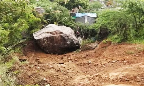 அல்லேரி மலையில் சாலை அமைக்க வனத்துறைக்கு இடம் வழங்க காகிதப்பட்டறை மலை தேர்வு