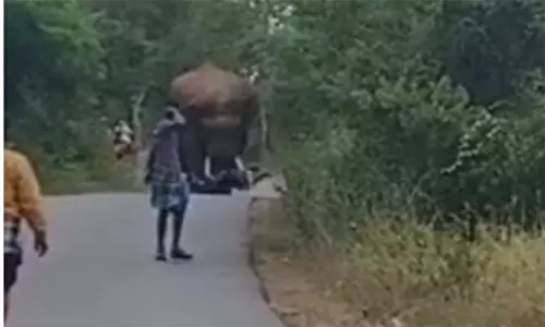 மோட்டார்சைக்கிளை அடித்து நொறுக்கிய ஒற்றை யானை