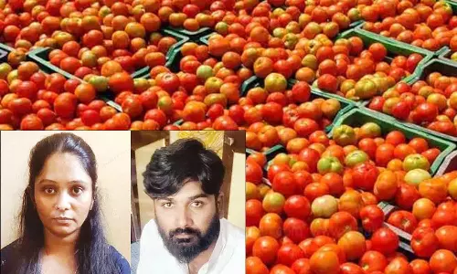 பெங்களூருவில் தக்காளியை கடத்தி வந்து சென்னையில் ரூ.1½ லட்சத்துக்கு விற்பனை: கணவன்-மனைவி கைது