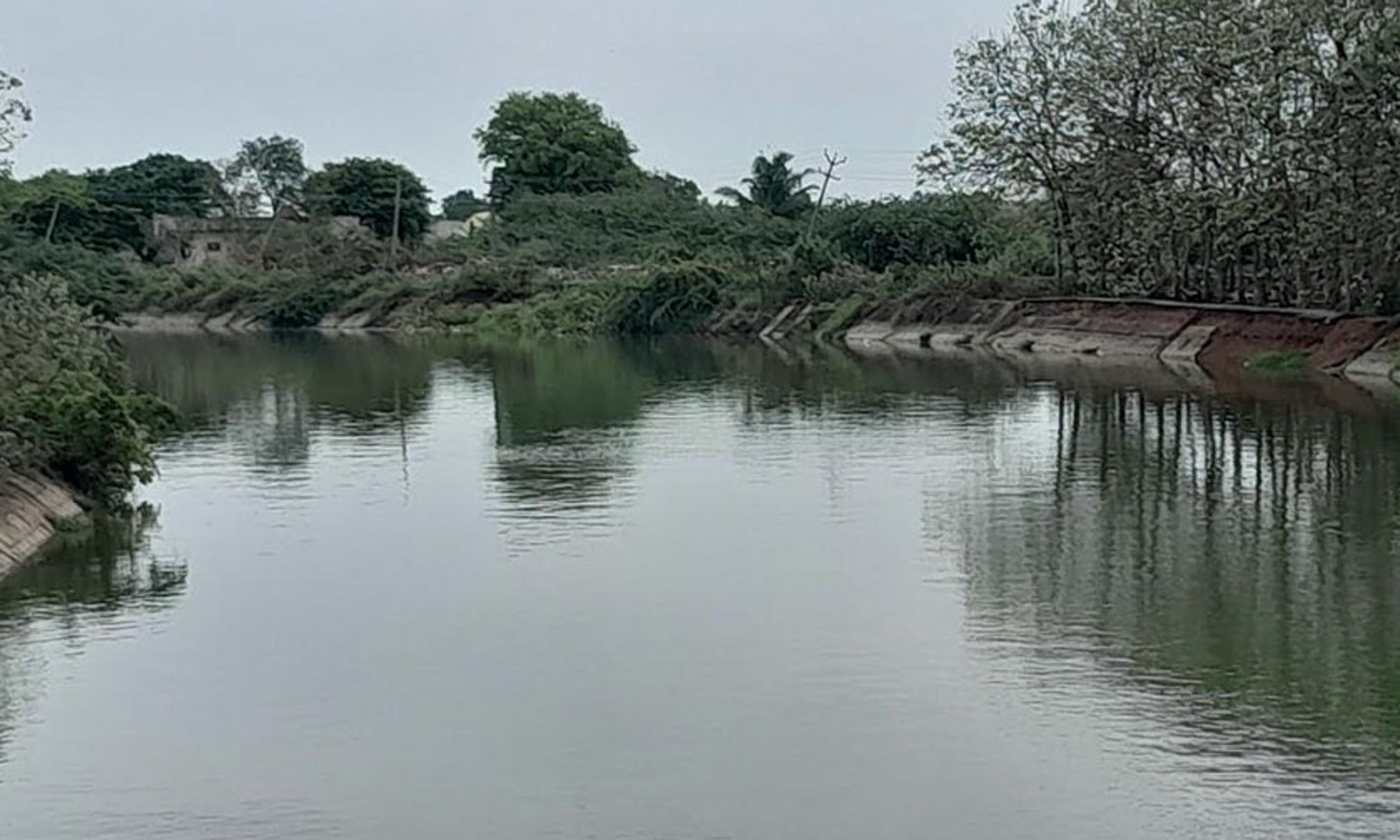 வீராணம் ஏரிக்கு நீர்வரத்து அதிகரிப்பு- நீர்மட்டம் 44.80 கன அடியாக உயர்ந்தது