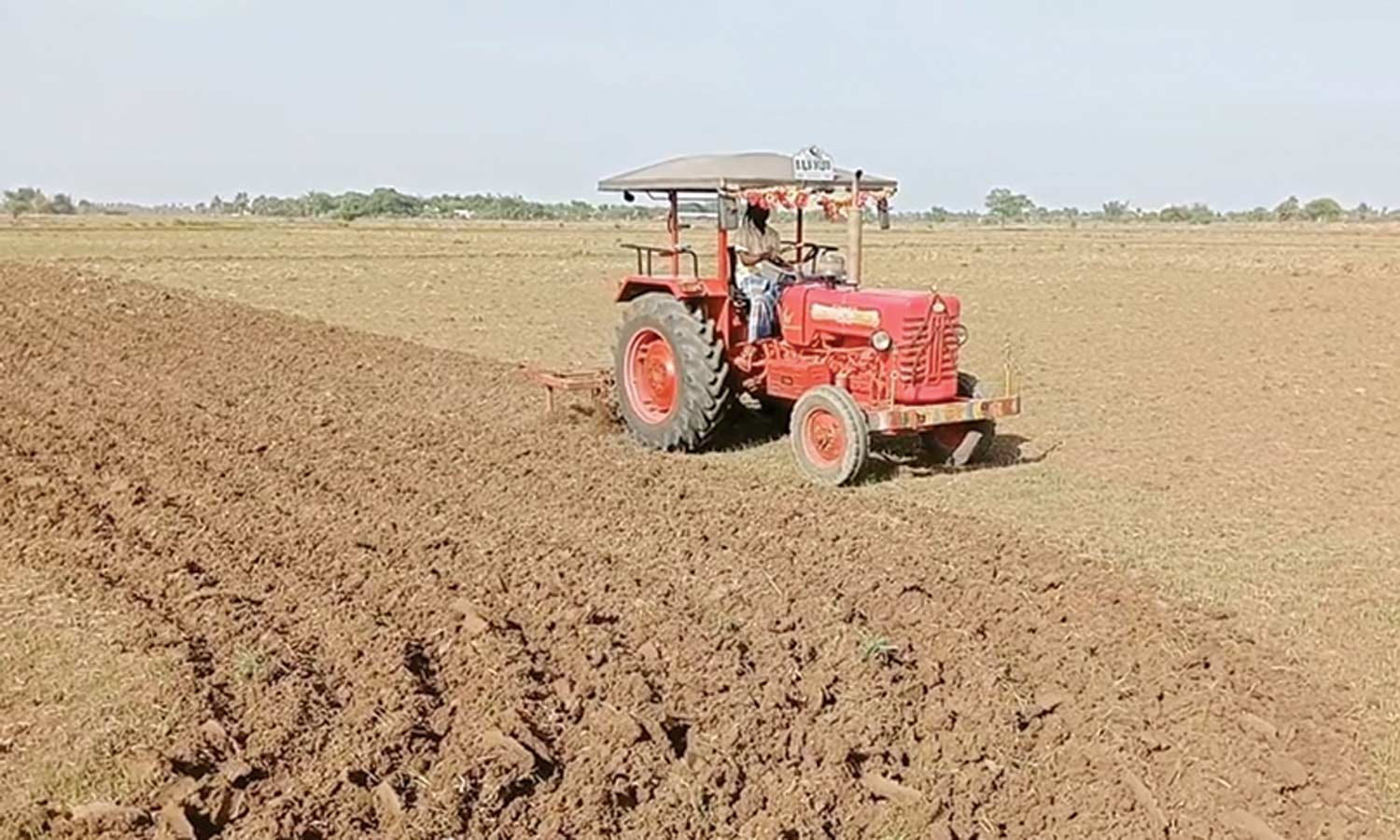 ரூ.10 ஆயிரம் செலவு செய்தும் பயனில்லை: தண்ணீரின்றி கருகிய பயிர்களை டிராக்டரால் உழுது அழித்த விவசாயி