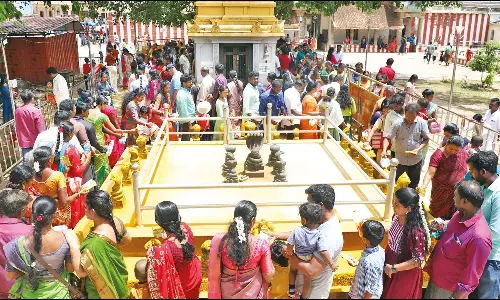 நாகர்கோவில் நாகராஜா கோவிலில் பக்தர்கள் நாகர் சிலைகளுக்கு பால் ஊற்றி வழிபாடு