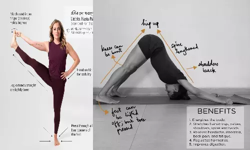 உடல் உபாதைகள் வராமல் தடுக்கும் 2 யோகாசனங்கள்...