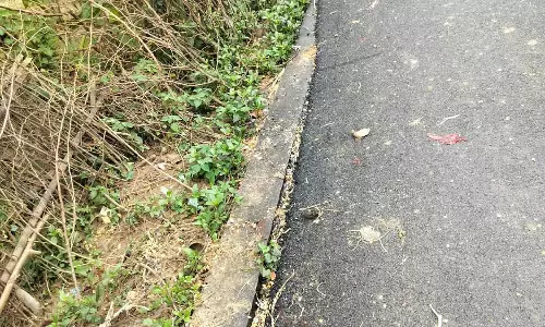 சாலை ஓரமாக கிடந்த மின் கம்பத்தின் மேல் போடப்பட்ட தார்ச்சாலை