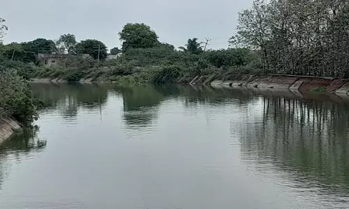 வீராணம் ஏரிக்கு நீர்வரத்து அதிகரிப்பு- நீர்மட்டம் 44.80 கன அடியாக உயர்ந்தது