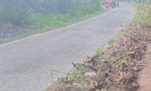 கொளப்பாக்கத்தில் ரூ.14 லட்சம் மதிப்பீட்டில் புதிய சாலை