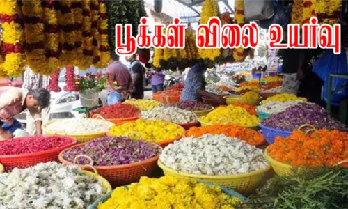 நாமக்கல் மார்க்கெட்டில் பூ விலை உயர்வு