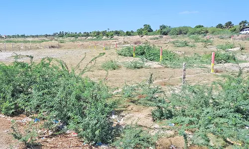 உடன்குடி அருகே தருவைகுளத்தில் தனியார் ஆக்கிரமிப்புகளை அகற்ற  வேண்டும் - விவசாயிகள் கோரிக்கை
